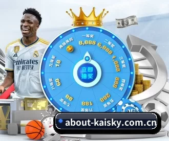 about-kaisky.com.cn APP