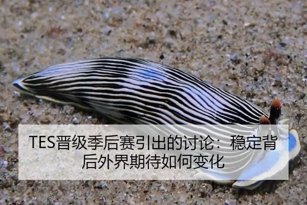 jin-ji-ji-hou-sai-yin-chu-de-tao-lun-wen-ding-bei-hou-wai-jie-qi-dai-ru-he-bian-hua-2-812.jpg
