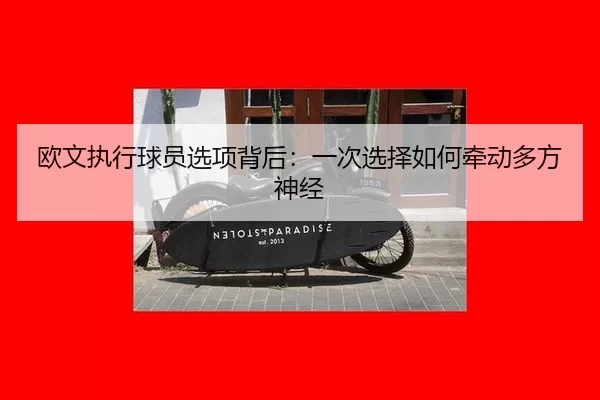 ou-wen-zhi-xing-qiu-yuan-xuan-xiang-bei-hou-yi-ci-xuan-ze-ru-he-qian-dong-duo-fang-shen-jing-2-385.jpg